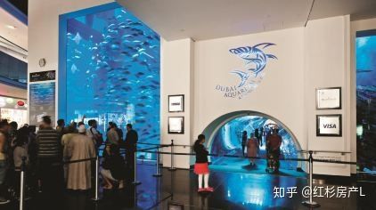 水族館一年能賺多少錢人民幣啊知乎：上海海洋水族館一年能賺多少錢人民幣的詳細(xì)分析