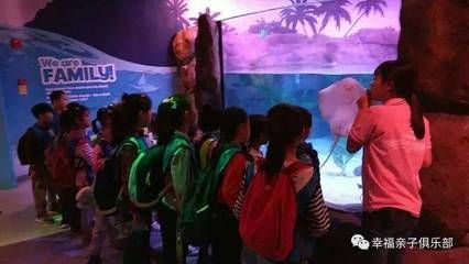 水族館的視頻：關(guān)于水族館視頻的網(wǎng)址 水族館百科（水族館加盟） 第1張