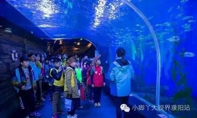 水族館的視頻：關(guān)于水族館視頻的網(wǎng)址 水族館百科（水族館加盟） 第3張