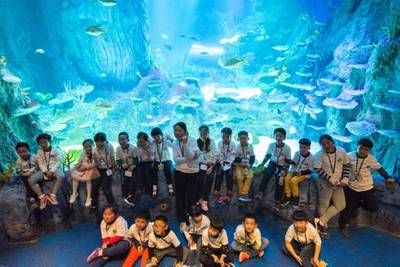 水族館的視頻：關(guān)于水族館視頻的網(wǎng)址 水族館百科（水族館加盟） 第5張