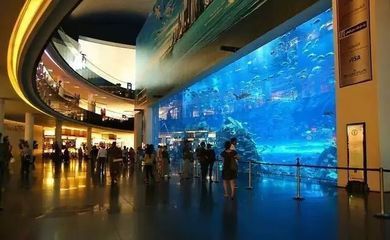 水族館尺寸：全球知名的大型水族館尺寸和規(guī)?？梢詮亩鄠€(gè)角度來了解 水族館百科（水族館加盟） 第5張