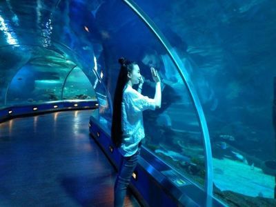 水族館誰負(fù)責(zé)管理：水族館的管理責(zé)任通常由水母館或水族館管理委員會承擔(dān) 水族館百科（水族館加盟） 第5張