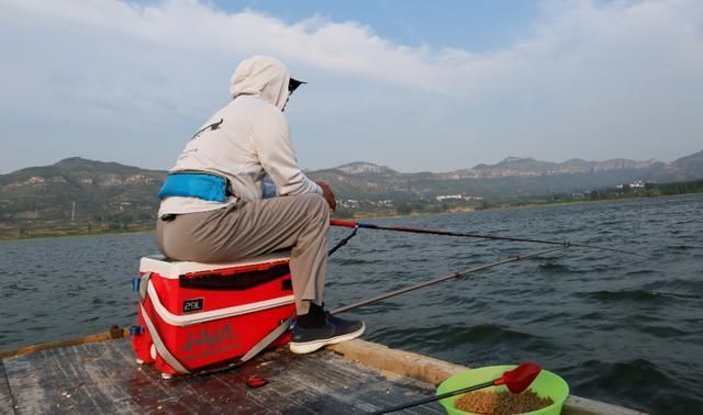 杜龍魚(yú)怎么煮湯好喝：杜龍魚(yú)怎么做好喝？ 水族問(wèn)答