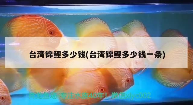 六安魚缸批發(fā)市場(chǎng)：六安魚缸批發(fā)市場(chǎng)交通指南 全國觀賞魚市場(chǎng) 第2張