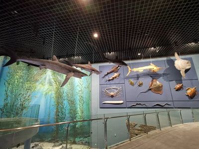 湖州水族館：湖州其它海洋水族館 全國觀賞魚市場 第1張