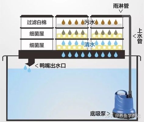 魚缸氨氮循環(huán)建立時間：如何檢測魚缸硝化系統(tǒng)是否建立 魚缸百科 第4張