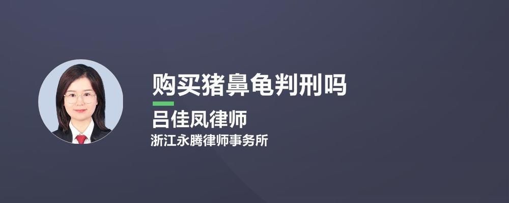 購(gòu)買豬鼻龜判刑嗎：購(gòu)買豬鼻龜會(huì)判刑嗎如果購(gòu)買豬鼻龜會(huì)判刑嗎 豬鼻龜百科 第4張