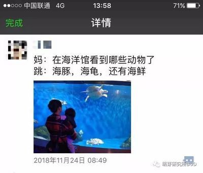 游戲 水族館：《水族館》系列游戲畫面風(fēng)格對(duì)比《輕松水族館》系列游戲