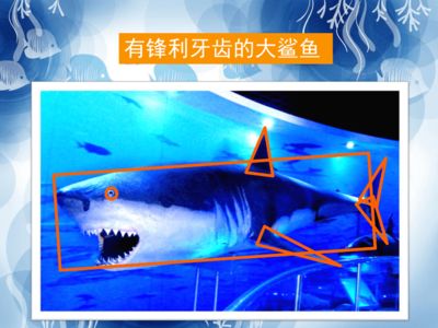 游戲 水族館：《水族館》系列游戲畫面風(fēng)格對(duì)比《輕松水族館》系列游戲 水族館百科（水族館加盟） 第5張