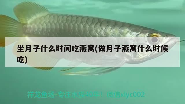 宿州魚缸批發(fā)市場：宿州哪里有賣魚缸的市場 全國觀賞魚市場 第8張