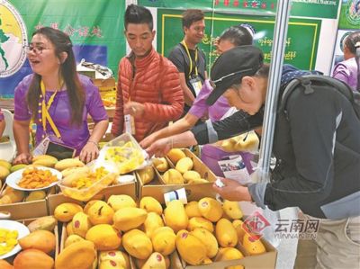 德宏傣族景頗族自治州水族批發(fā)市場：德宏傣族景頗族自治州水族店 全國觀賞魚市場 第1張