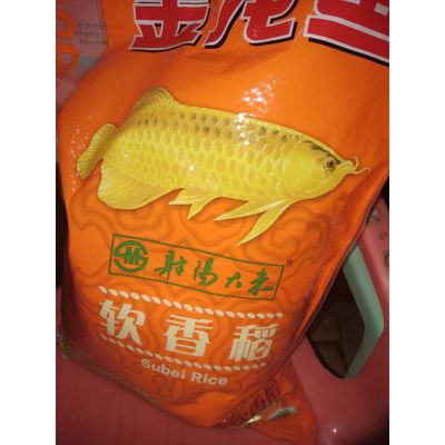 金龍魚煮了：金龍魚燉掛面的技巧