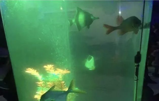 水族館放在客廳哪里？：客廳魚缸風(fēng)水布局技巧 水族館百科（水族館加盟） 第1張