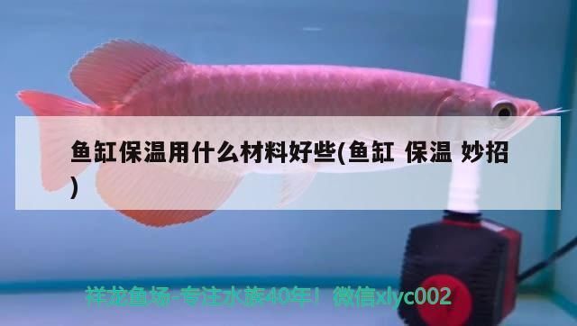 魚缸保溫材料選購(gòu)技巧：選購(gòu)魚缸保溫材料的技巧 魚缸百科 第2張