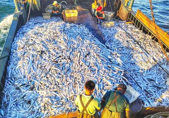 風(fēng)水魚養(yǎng)錦鯉好還是龍魚好：如何通過風(fēng)水布局提高錦鯉養(yǎng)殖的效益？ 水族問答 第2張