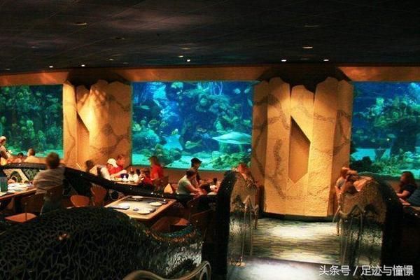 水族館一般多大：歐洲最大水族館規(guī)?？梢詮亩鄠€(gè)維度來(lái)衡量水體容量 水族館百科（水族館加盟） 第1張