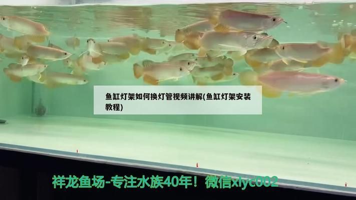 魚缸燈架安裝教程 魚缸百科 第1張