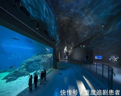 水族館是什么單位性質(zhì)：關(guān)于水族館單位性質(zhì)的詳細(xì)信息 水族館百科（水族館加盟） 第5張