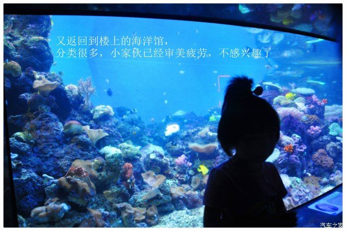 臨汾水族館：臨汾區(qū)南水族館 全國觀賞魚市場 第2張