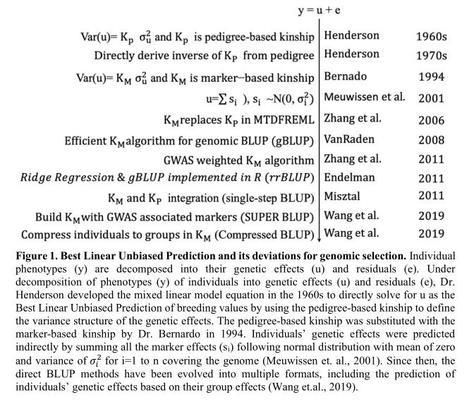 全基因組選育在其他觀賞魚中的應(yīng)用：全基因組選育技術(shù)在觀賞魚中的應(yīng)用體現(xiàn)在遺傳標(biāo)記的開發(fā)、基因組信息的應(yīng)用 觀賞魚百科 第5張