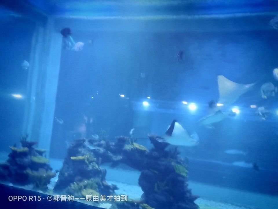 水族館制作廠(chǎng)家電話(huà)：水族館制作廠(chǎng)家電話(huà)的作用