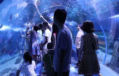 懷化水族館：懷化旅游攻略 全國觀賞魚市場 第2張