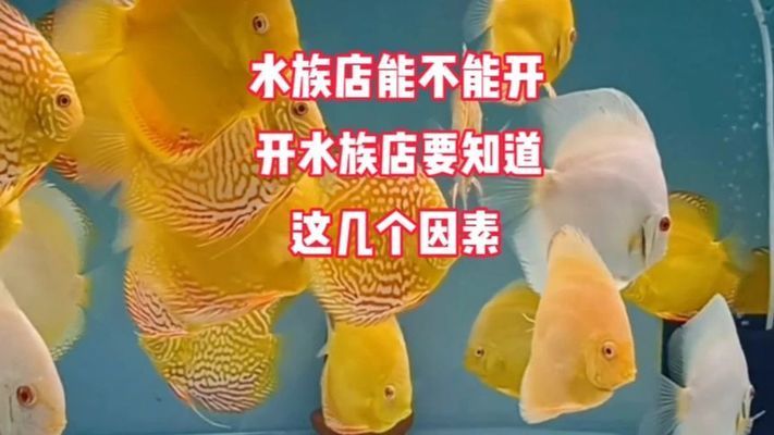 開個(gè)水族館怎么樣？：開設(shè)一家成功的水族館需要投入大量的資金和精力和精力 水族館百科（水族館加盟） 第2張