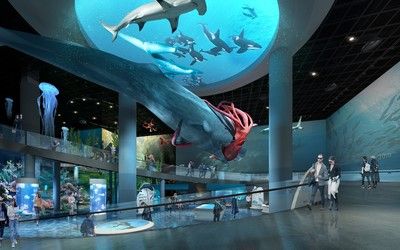 中國最大的海洋水族館：中國擁有世界上最大的海洋水族館 水族館百科（水族館加盟） 第3張