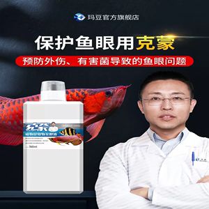 龍魚感冒了怎么治療：龍魚感冒后如何換水 龍魚百科 第2張