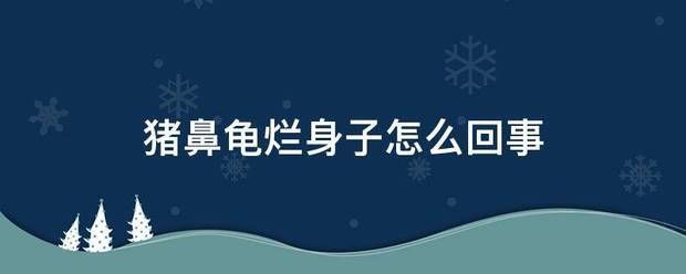 豬鼻龜渾身都爛了怎么辦?。贺i鼻龜渾身爛身子怎么處理豬鼻龜爛身子怎么處理 豬鼻龜百科 第7張