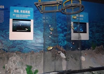 水族館文章：上海海洋水族館 水族館百科（水族館加盟） 第5張