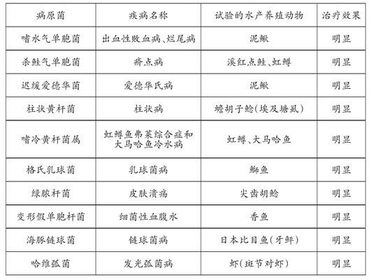 噬菌體治療觀賞魚的最新研究：噬菌體在觀賞魚治療中的應(yīng)用 觀賞魚百科 第5張