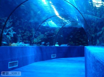 水族館門票價(jià)格：2018上海海洋水族館門票價(jià)格