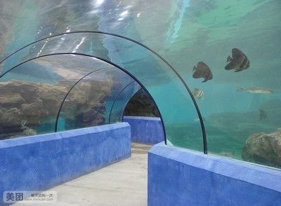 水族館門票價格：2018上海海洋水族館門票價格 水族館百科（水族館加盟） 第4張