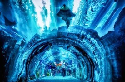 世界十大水族館：世界十大水族館之一，世界上最大的水族館之一，游客超2000萬 水族館百科（水族館加盟） 第2張