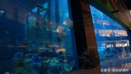 水族館店圖片：水族館店圖片詳情 水族館百科（水族館加盟） 第2張