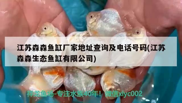 森森魚缸廠家聯(lián)系電話 魚缸百科 第2張