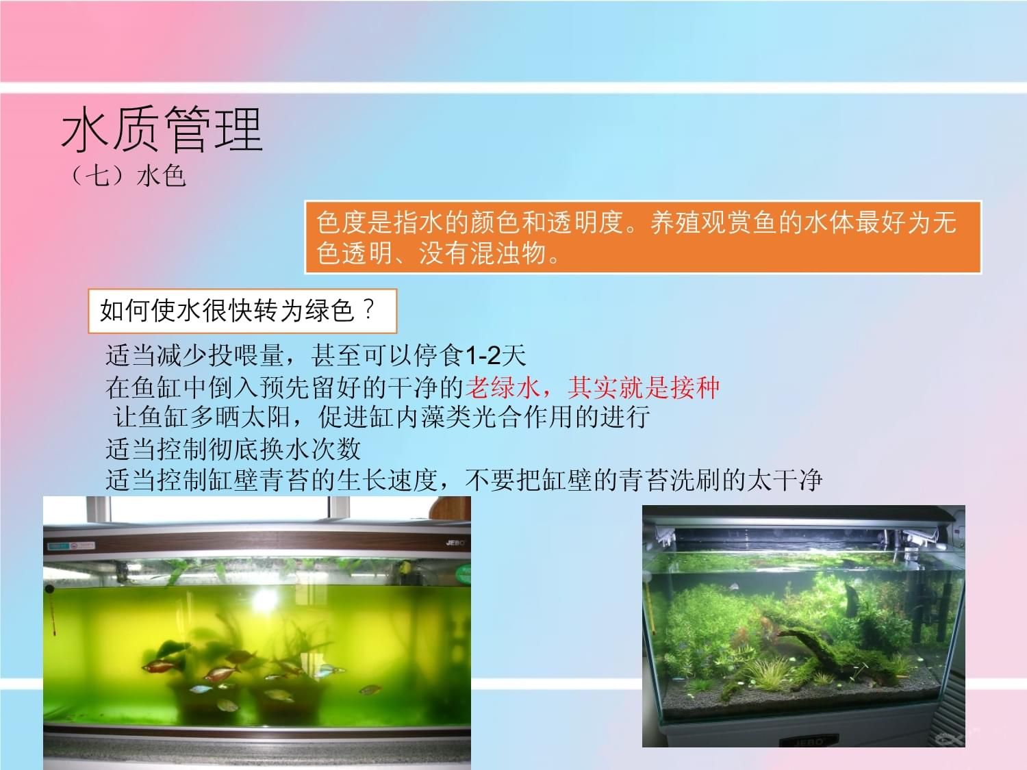 觀賞魚水質(zhì)管理的先進(jìn)方法：觀賞魚水質(zhì)檢測新技術(shù) 觀賞魚百科 第4張