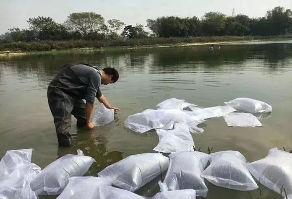 給金龍魚換水怎么換：如何正確給金龍魚更換水質(zhì)，-換水時間和注意事項(xiàng) 水族問答 第2張