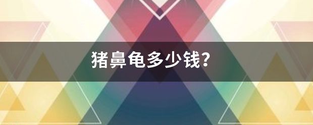 2021豬鼻龜：關(guān)于豬鼻龜?shù)囊恍﹩?wèn)題 豬鼻龜百科 第9張