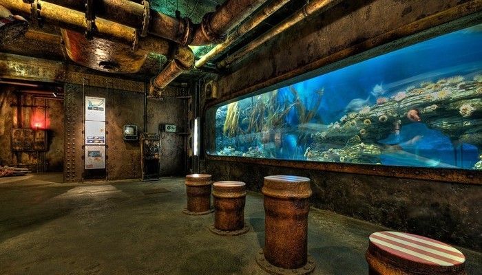 哪的水族館好：上海海洋水族館