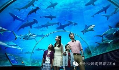 孝感水族館：孝感水族館孝感海洋水族館 全國觀賞魚市場 第3張