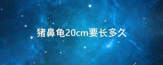 豬鼻龜長到30公分需要幾年：豬鼻龜多久可以長到20公分的殼(豬鼻龜幾年能長到20公分 豬鼻龜百科 第9張