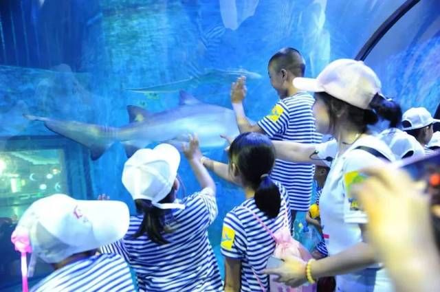 水族館哪個好：深圳坪山海洋水族館的交通指南, 水族館百科（水族館加盟） 第5張