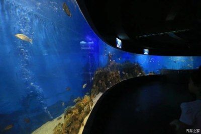 水族館哪個好：深圳坪山海洋水族館的交通指南, 水族館百科（水族館加盟） 第2張