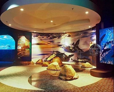 國(guó)內(nèi) 水族館：上海海洋水族館 水族館百科（水族館加盟） 第2張