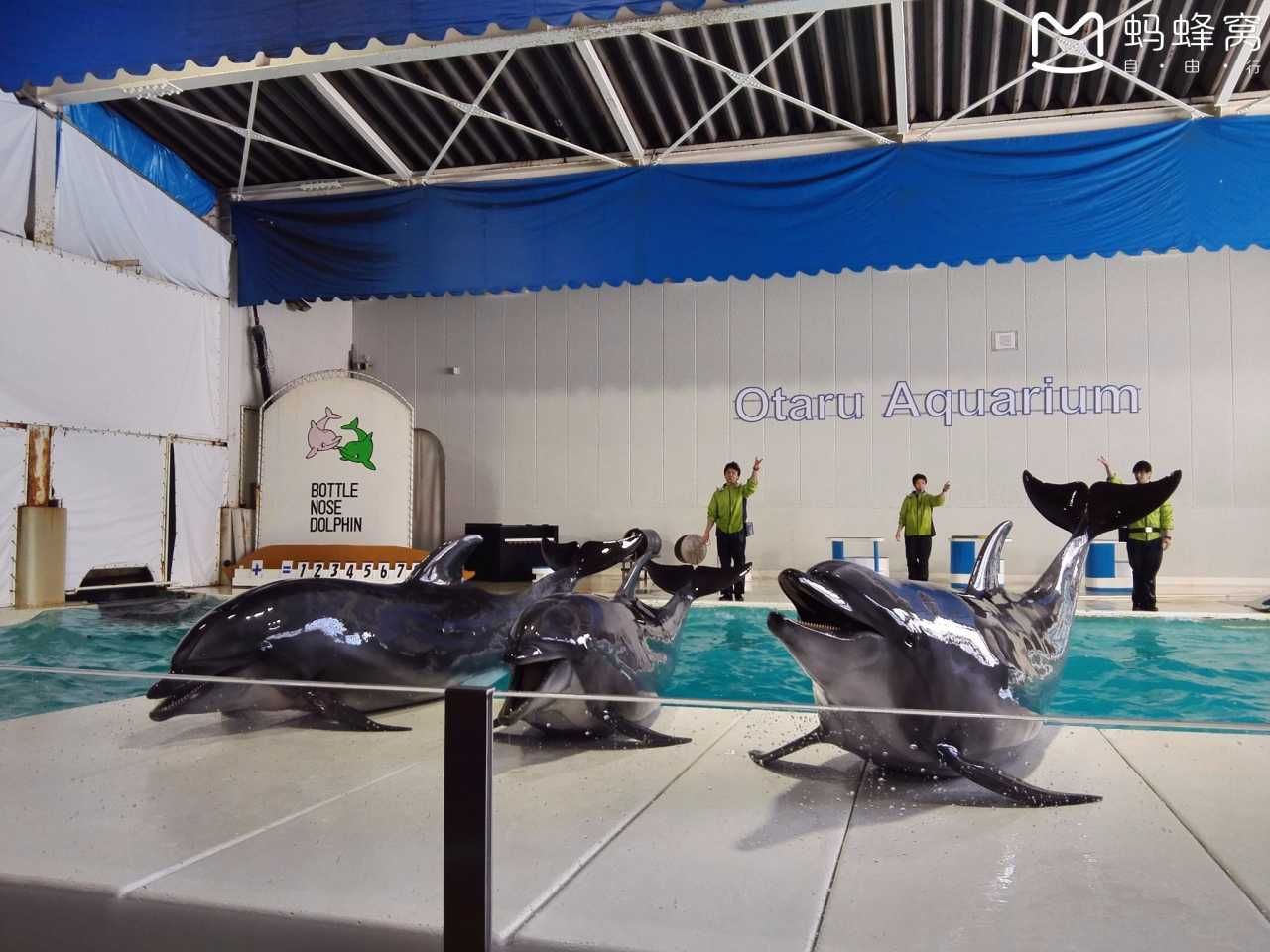 小樽水族館官網(wǎng)旗艦店：小樽水族館官網(wǎng)旗艦店介紹 水族館百科（水族館加盟） 第3張