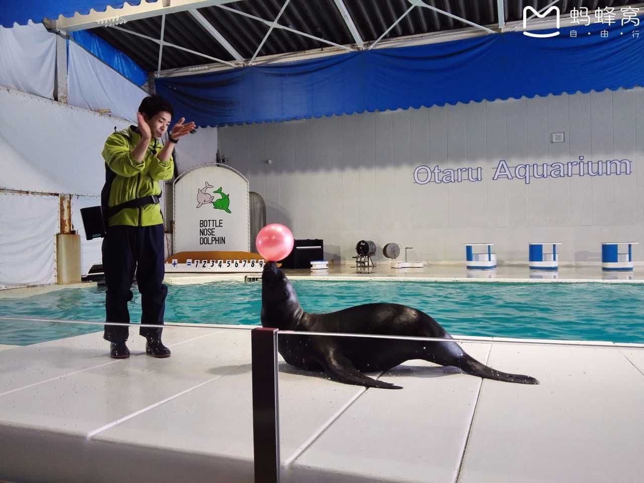 小樽水族館官網(wǎng)旗艦店：小樽水族館官網(wǎng)旗艦店介紹 水族館百科（水族館加盟） 第4張