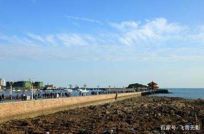 水族館游玩日記500字：探索海洋奇觀 水族館百科（水族館加盟） 第4張