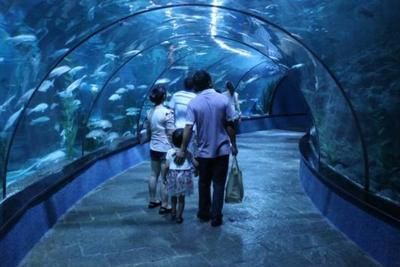 水族館用英語(yǔ)怎么讀：aquarium英語(yǔ)單詞拼寫(xiě) 水族館百科（水族館加盟） 第5張